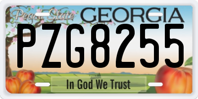 GA license plate PZG8255