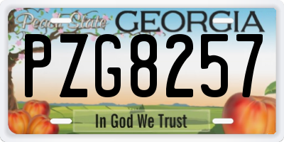 GA license plate PZG8257