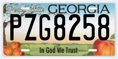 GA license plate PZG8258