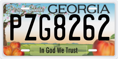 GA license plate PZG8262