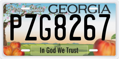 GA license plate PZG8267