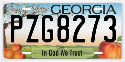 GA license plate PZG8273