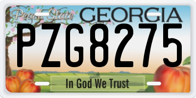 GA license plate PZG8275