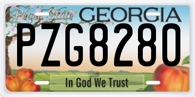 GA license plate PZG8280