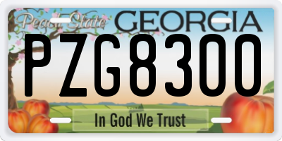 GA license plate PZG8300