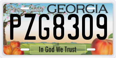 GA license plate PZG8309