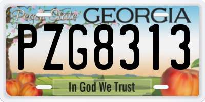 GA license plate PZG8313