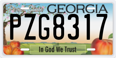 GA license plate PZG8317