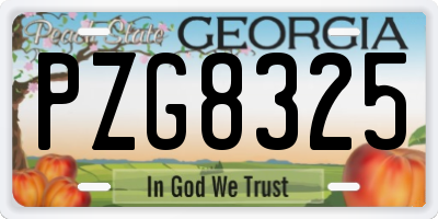 GA license plate PZG8325