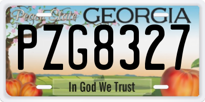 GA license plate PZG8327