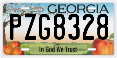 GA license plate PZG8328