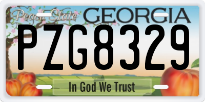 GA license plate PZG8329