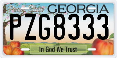GA license plate PZG8333