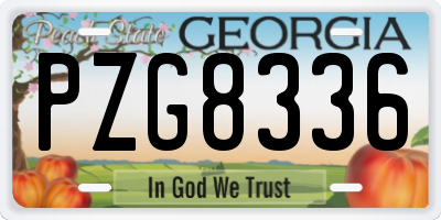 GA license plate PZG8336