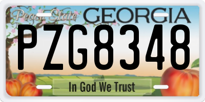 GA license plate PZG8348
