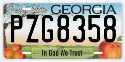 GA license plate PZG8358