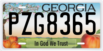 GA license plate PZG8365
