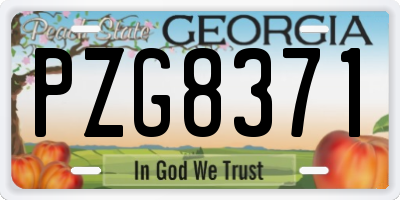 GA license plate PZG8371