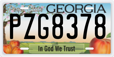 GA license plate PZG8378