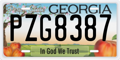 GA license plate PZG8387