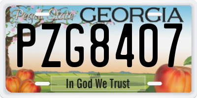 GA license plate PZG8407