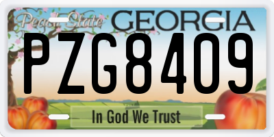 GA license plate PZG8409