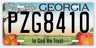 GA license plate PZG8410