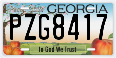 GA license plate PZG8417