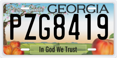 GA license plate PZG8419