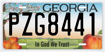 GA license plate PZG8441