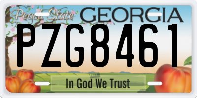 GA license plate PZG8461