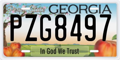 GA license plate PZG8497