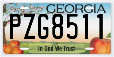 GA license plate PZG8511