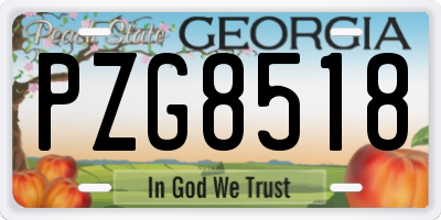 GA license plate PZG8518