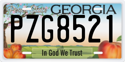 GA license plate PZG8521