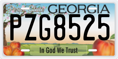 GA license plate PZG8525