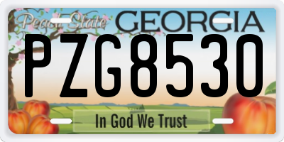 GA license plate PZG8530