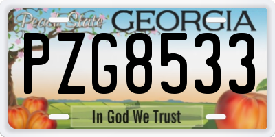 GA license plate PZG8533