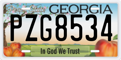 GA license plate PZG8534