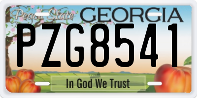 GA license plate PZG8541