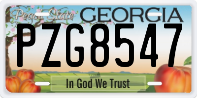 GA license plate PZG8547
