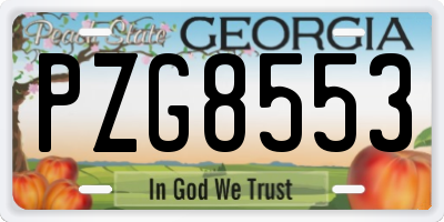 GA license plate PZG8553