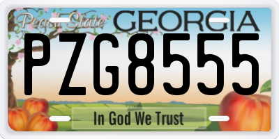 GA license plate PZG8555