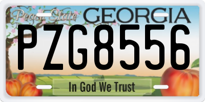 GA license plate PZG8556
