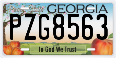 GA license plate PZG8563