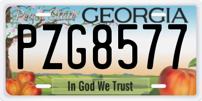 GA license plate PZG8577