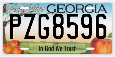 GA license plate PZG8596