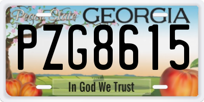 GA license plate PZG8615