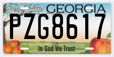 GA license plate PZG8617
