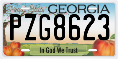 GA license plate PZG8623